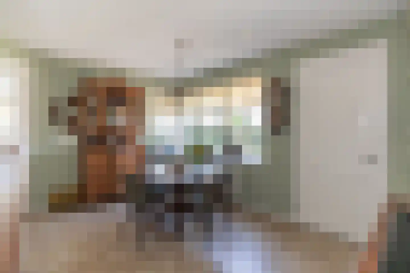 Kapteynlaan 3 Almelo thumbnail 21