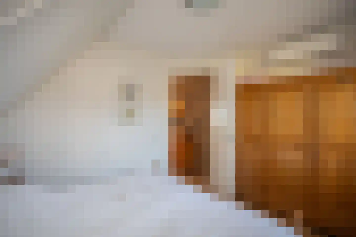 Kapteynlaan 3 Almelo thumbnail 29