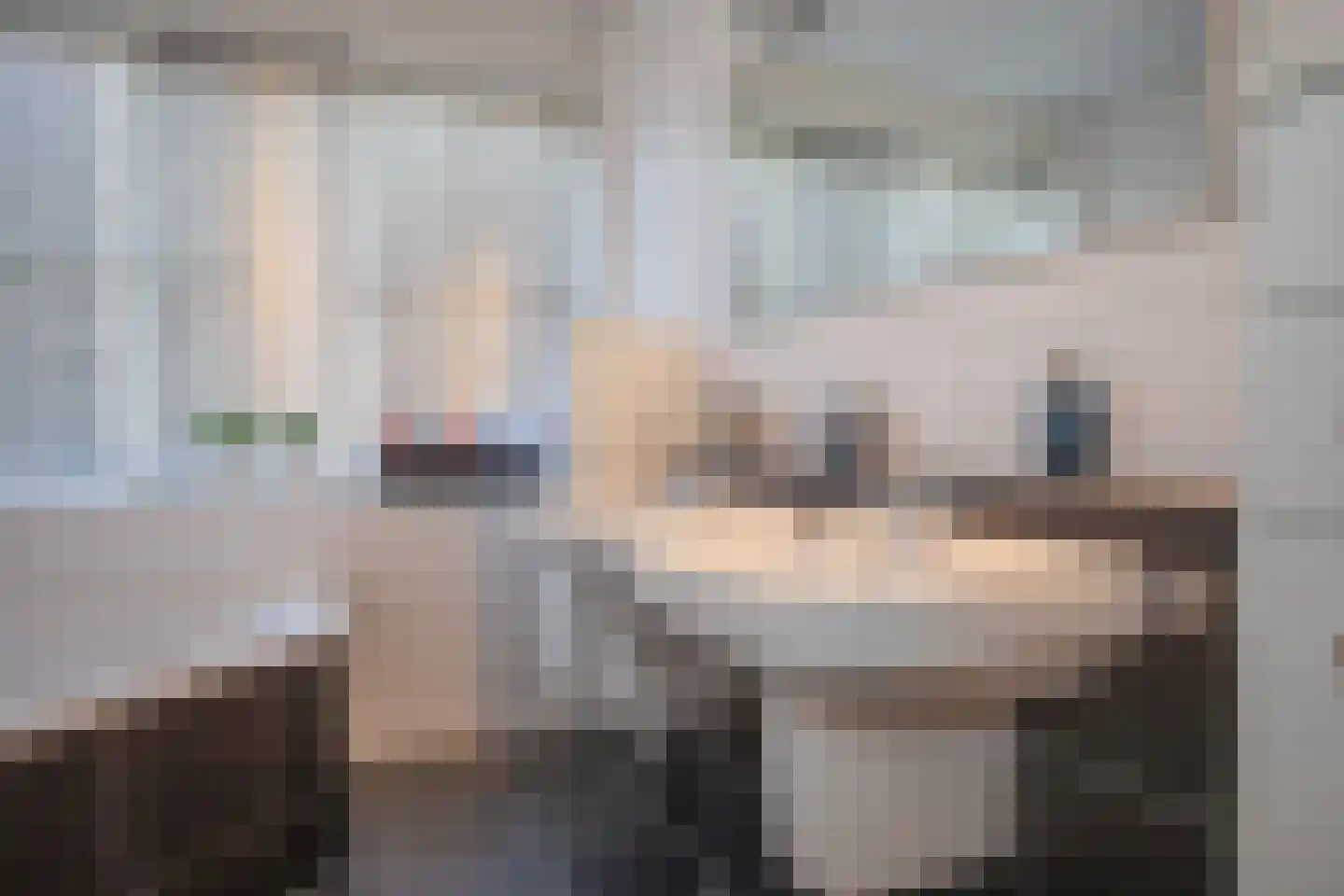 Kapteynlaan 3 Almelo thumbnail 34