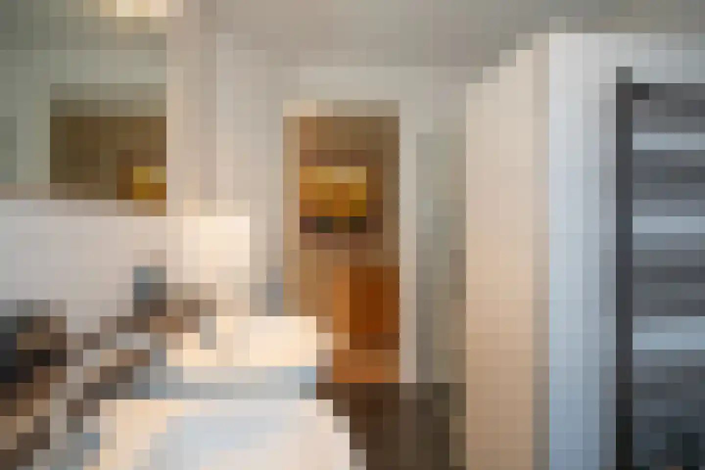 Kapteynlaan 3 Almelo thumbnail 35