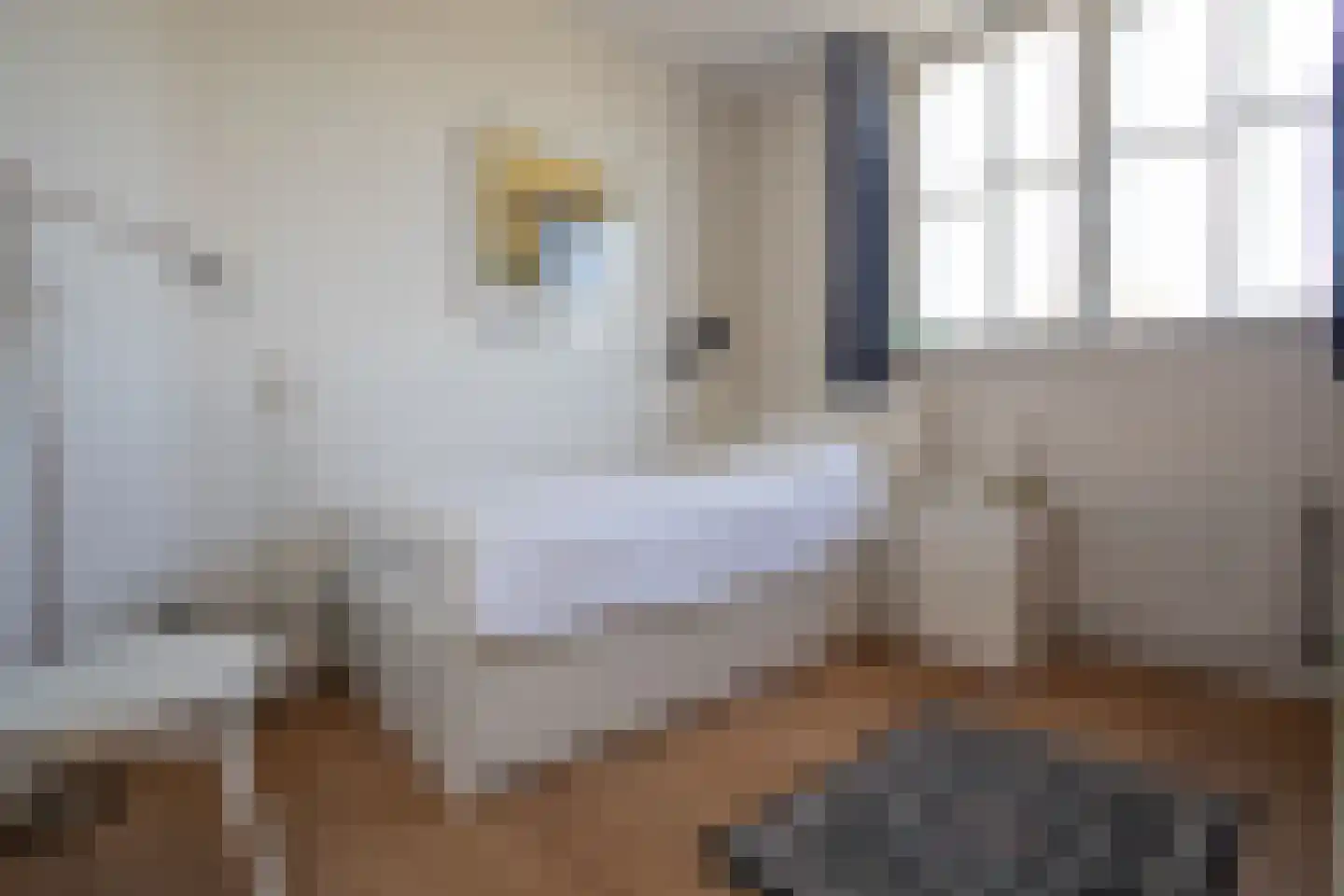Kapteynlaan 3 Almelo thumbnail 36