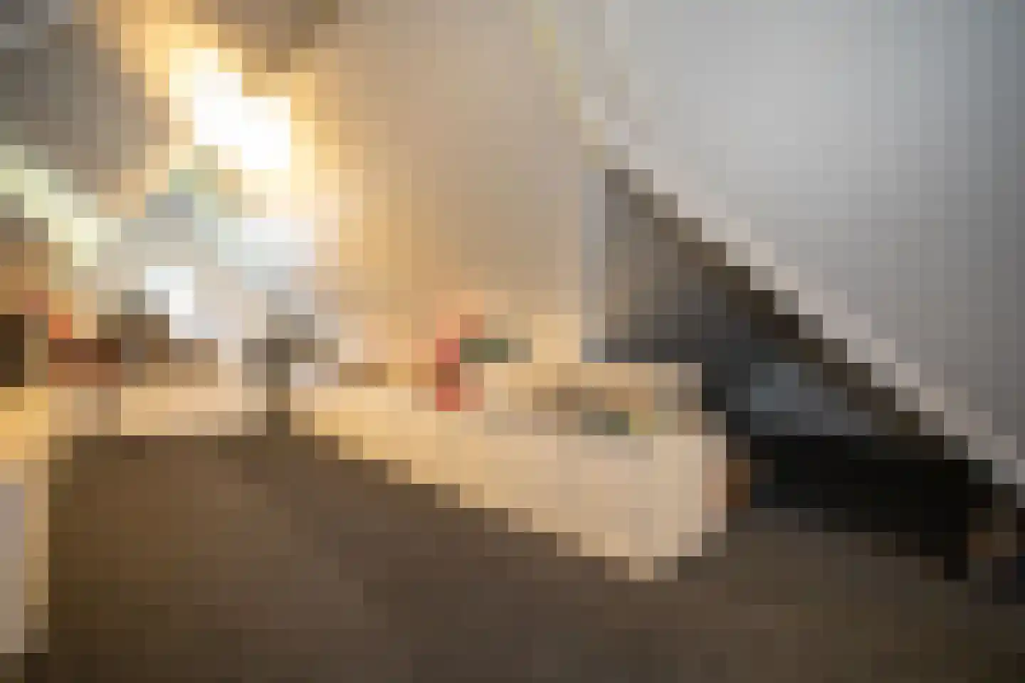 Kapteynlaan 3 Almelo thumbnail 43