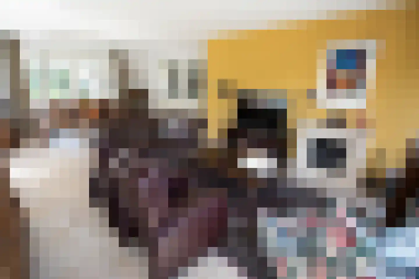 Kapteynlaan 3 Almelo thumbnail 5