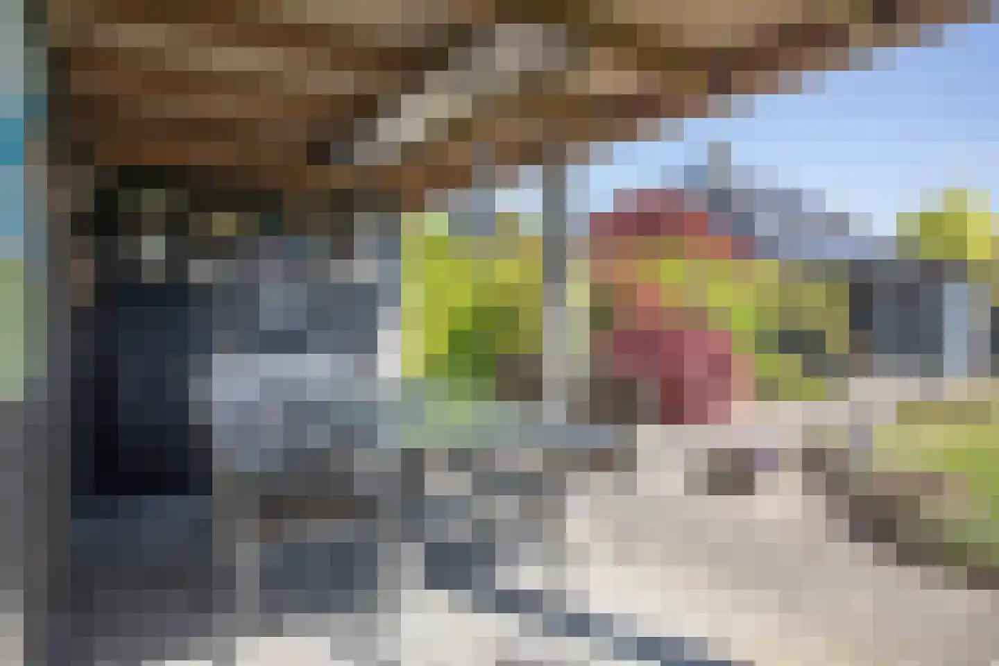 Kapteynlaan 3 Almelo thumbnail 55