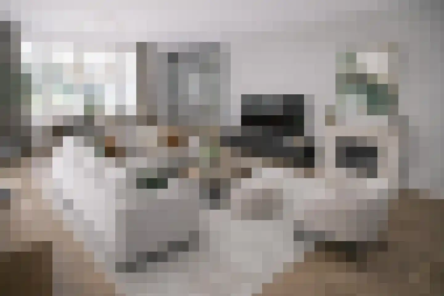 Kapteynlaan 3 Almelo thumbnail 6