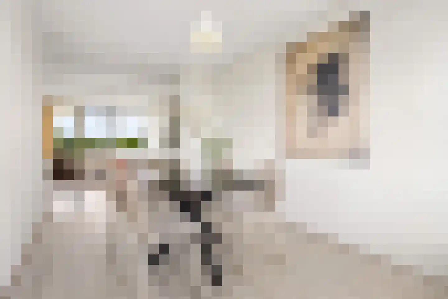 Kapteynlaan 41 Utrecht thumbnail 10