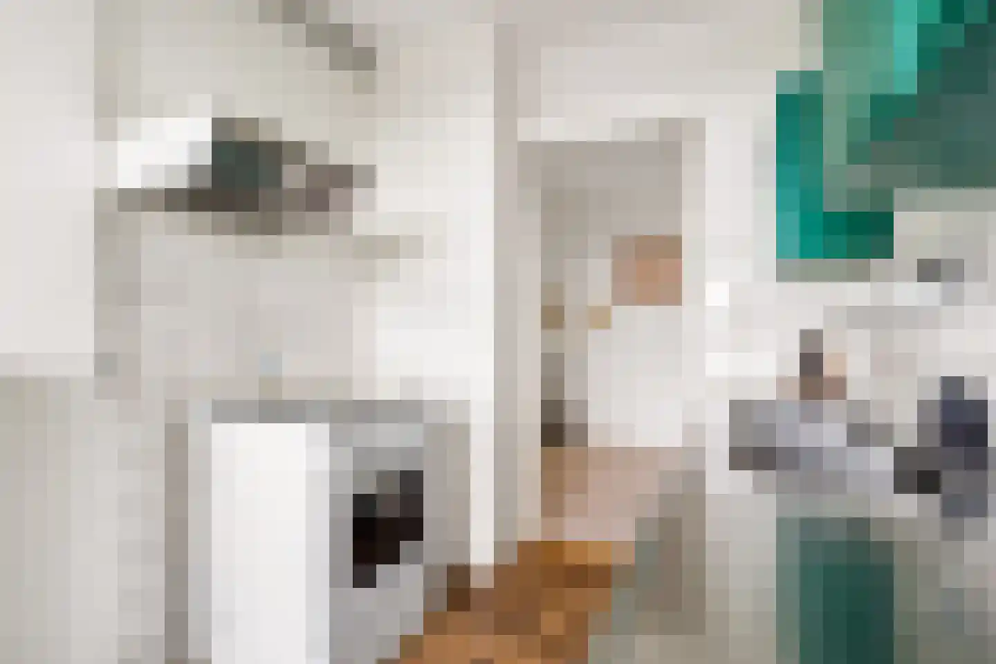 Kapteynlaan 41 Utrecht thumbnail 14