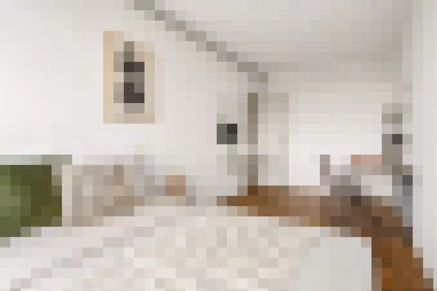 Kapteynlaan 41 Utrecht thumbnail 17