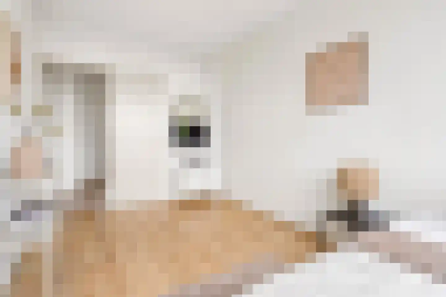 Kapteynlaan 41 Utrecht thumbnail 19