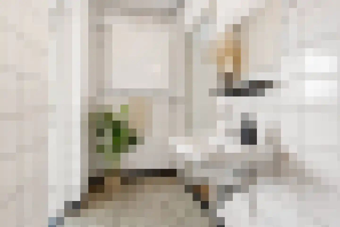 Kapteynlaan 41 Utrecht thumbnail 21