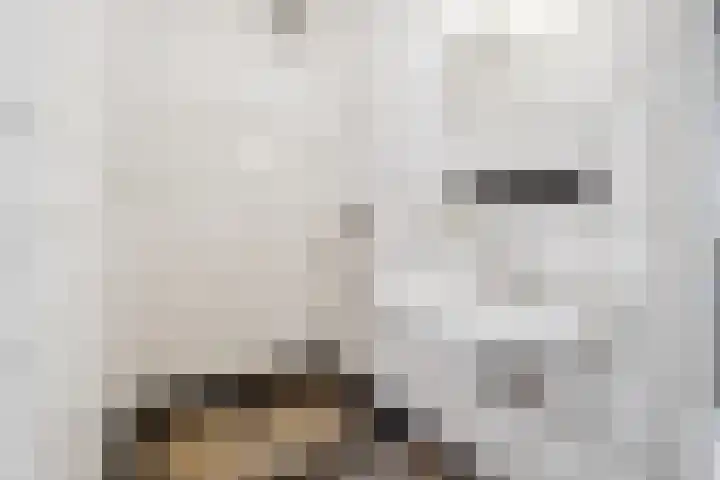 Kapteynlaan 43 Utrecht thumbnail 12