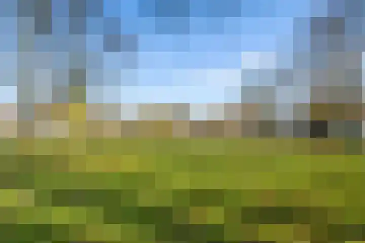 Kapteynlaan 43 Utrecht thumbnail 26