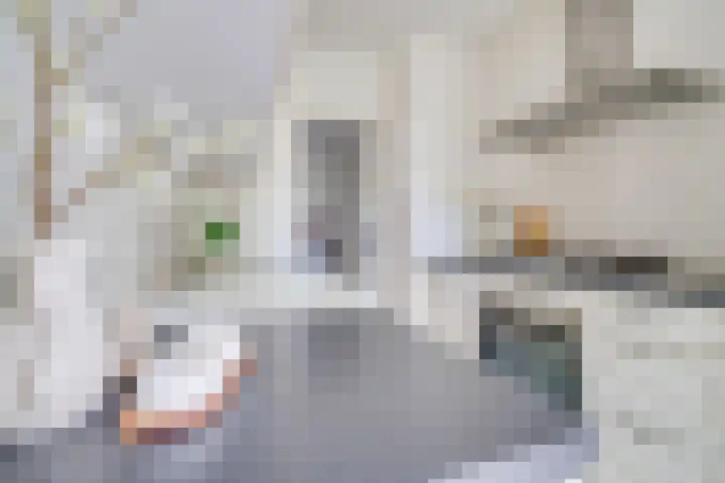 Kapteynlaan 47 Utrecht thumbnail 12