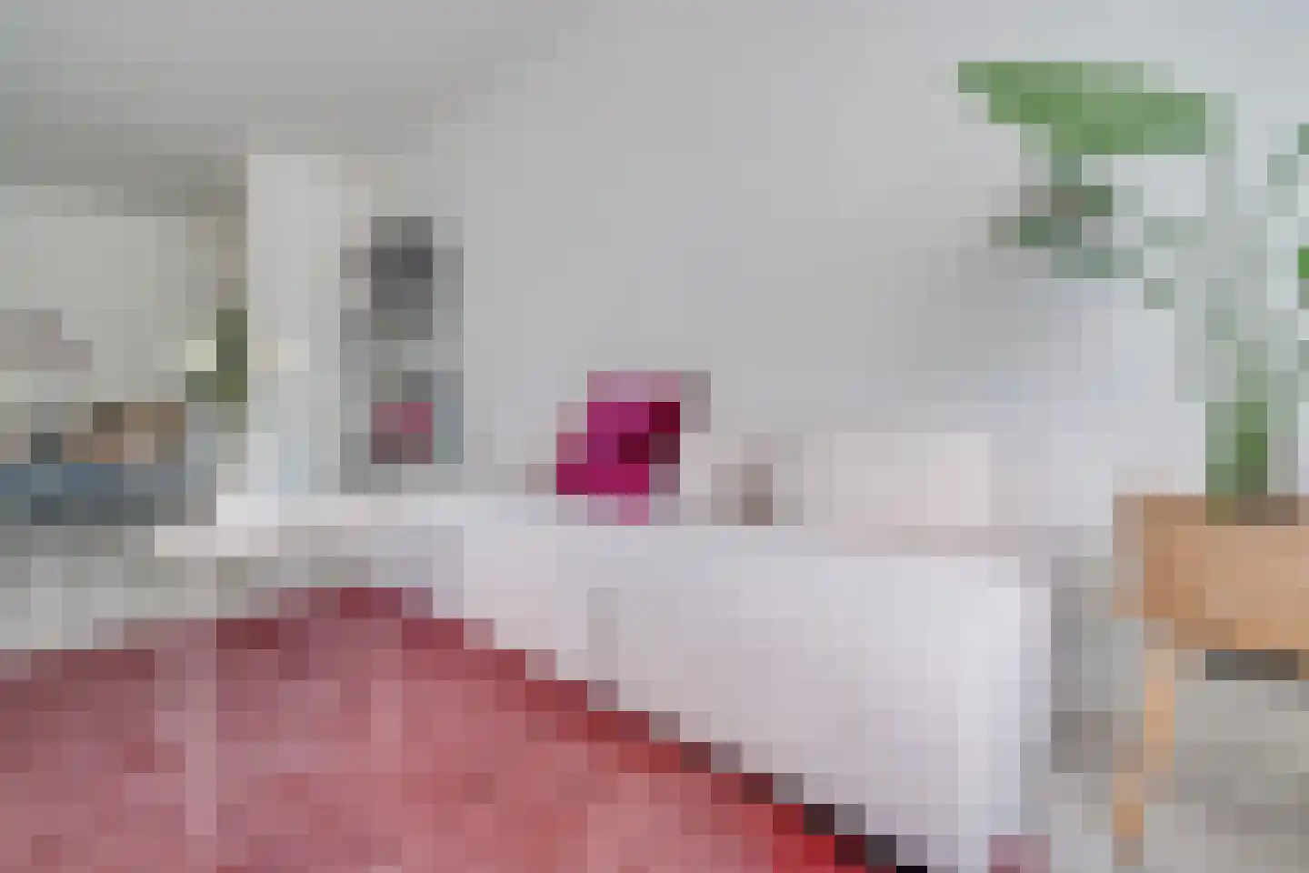 Kapteynlaan 47 Utrecht thumbnail 7