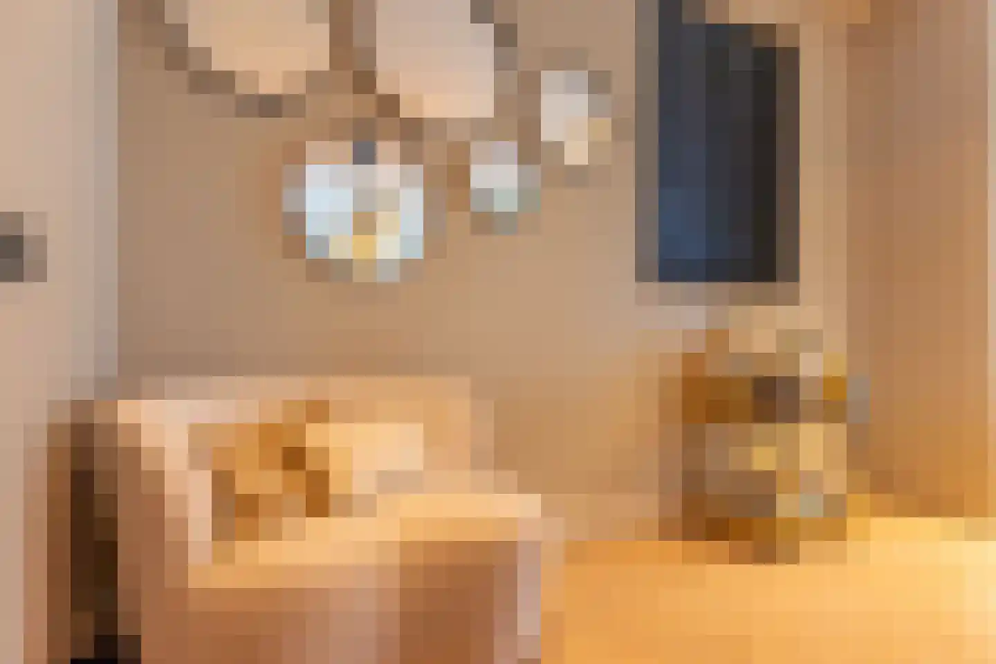 Kapteynlaan 5 Almelo thumbnail 13