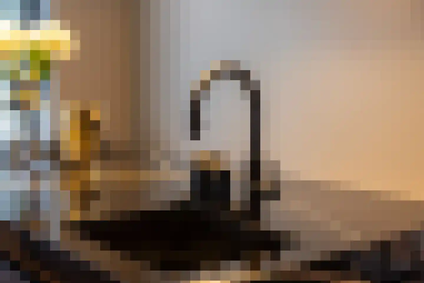 Kapteynlaan 5 Almelo thumbnail 14
