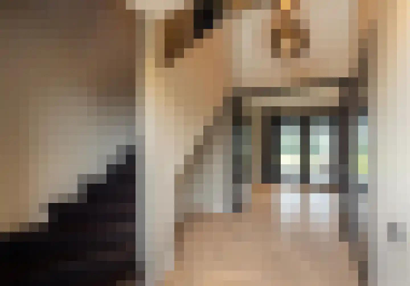 Kapteynlaan 5 Almelo thumbnail 23