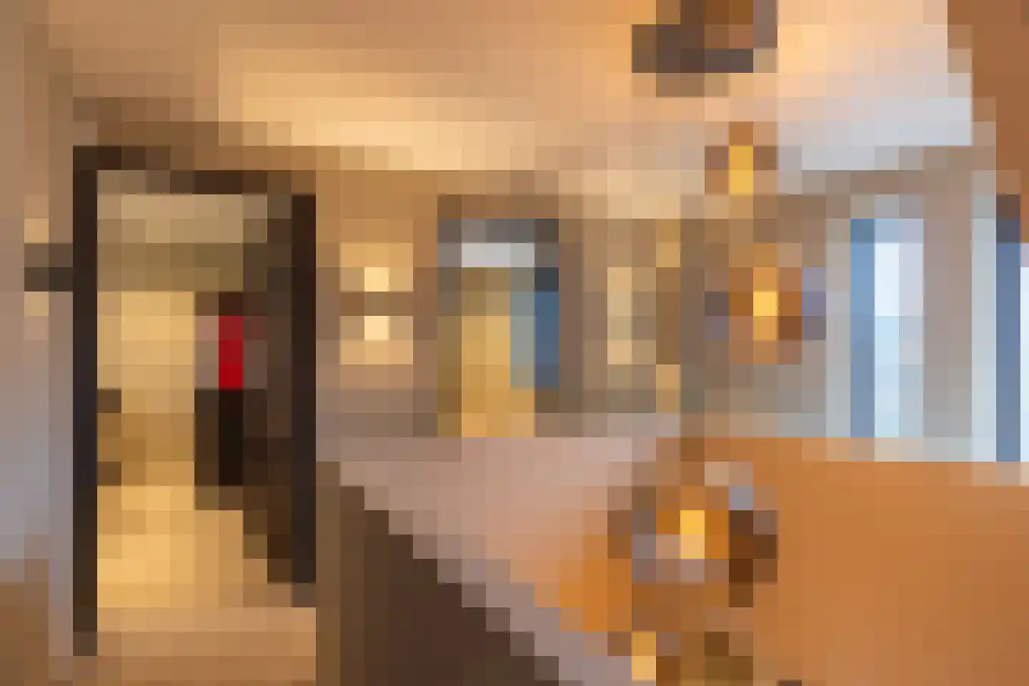 Kapteynlaan 5 Almelo thumbnail 24