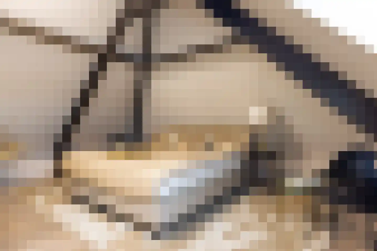 Kapteynlaan 5 Almelo thumbnail 32