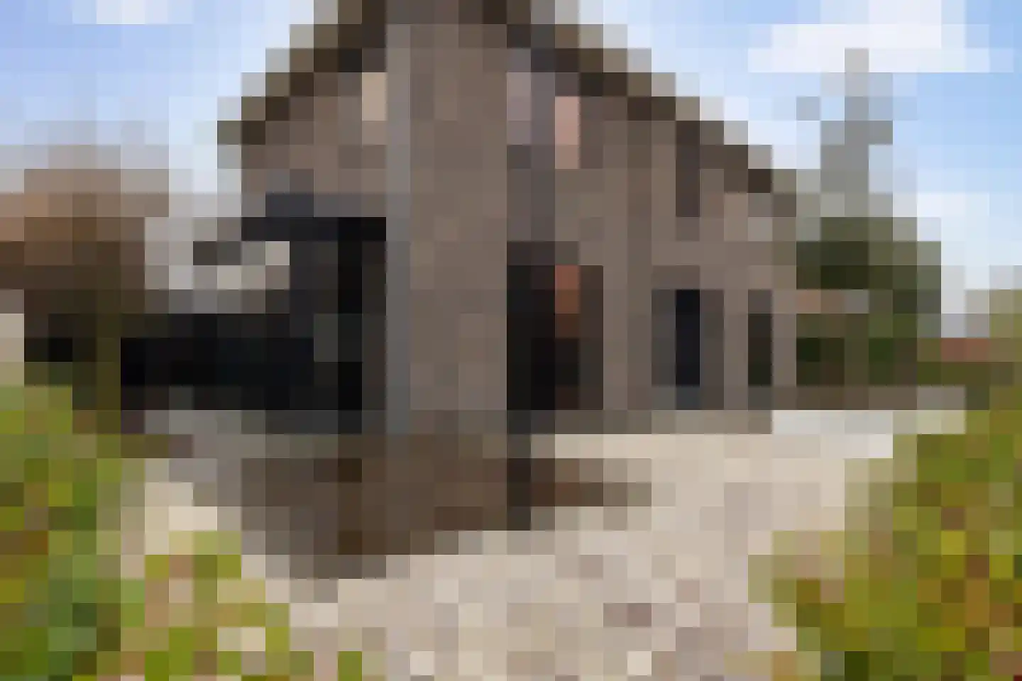 Kapteynlaan 5 Almelo thumbnail 37