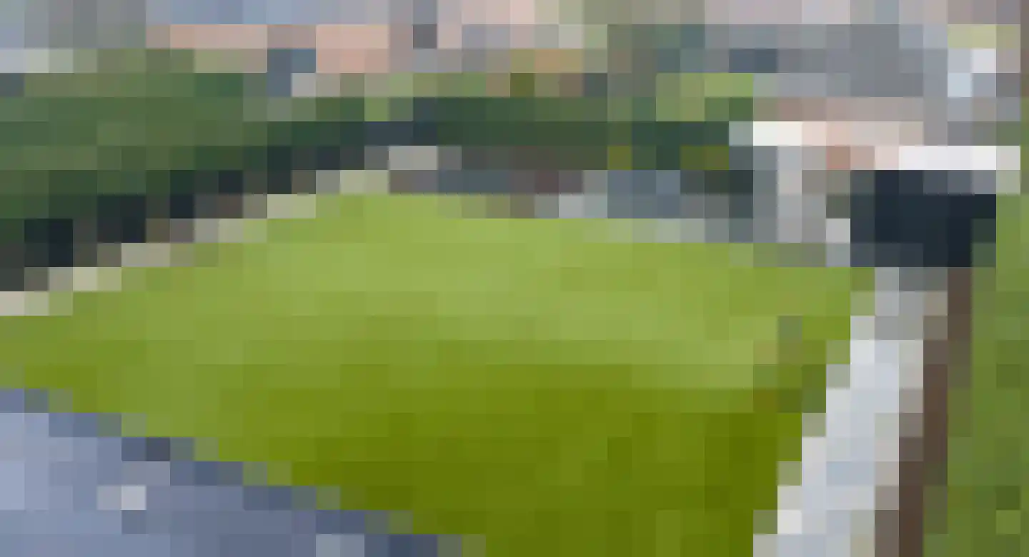 Kapteynlaan 5 Almelo thumbnail 46