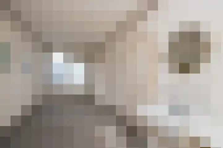 Kapteynlaan 6 Hoogeveen thumbnail 16