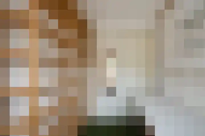 Kapteynlaan 6 Hoogeveen thumbnail 20