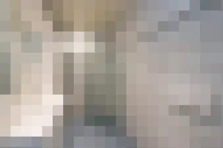 Kapteynlaan 6 Hoogeveen thumbnail 23