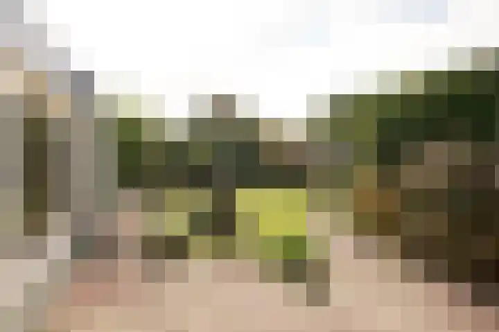 Kapteynlaan 6 Hoogeveen thumbnail 32