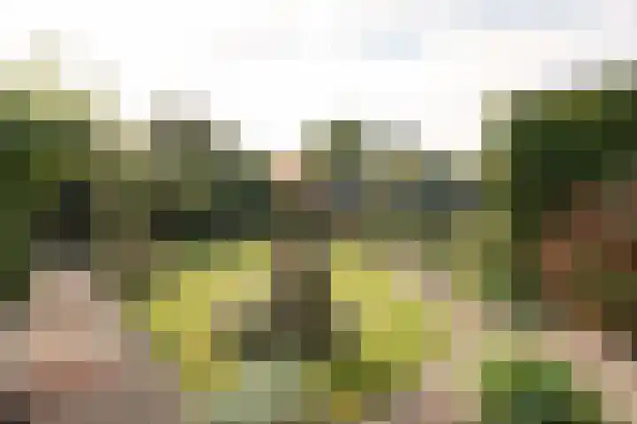 Kapteynlaan 6 Hoogeveen thumbnail 33