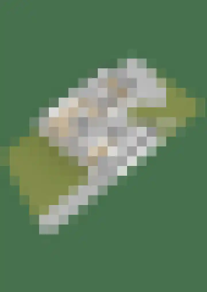 Kapteynlaan 6 Hoogeveen thumbnail 41