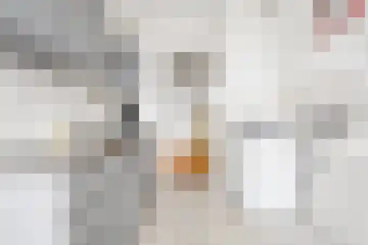 Kapteynlaan 67 Utrecht thumbnail 14
