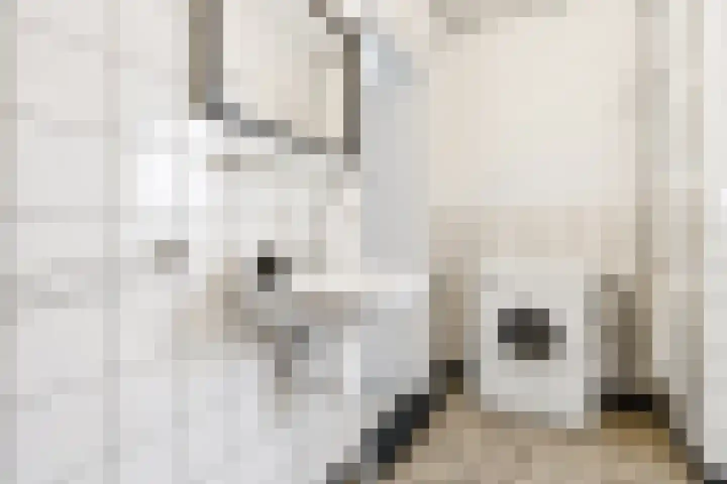 Kapteynlaan 67 Utrecht thumbnail 20