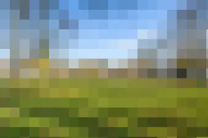 Kapteynlaan 67 Utrecht thumbnail 31