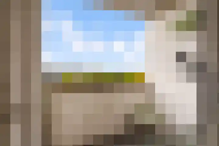 Kapteynlaan 89 Utrecht thumbnail 23