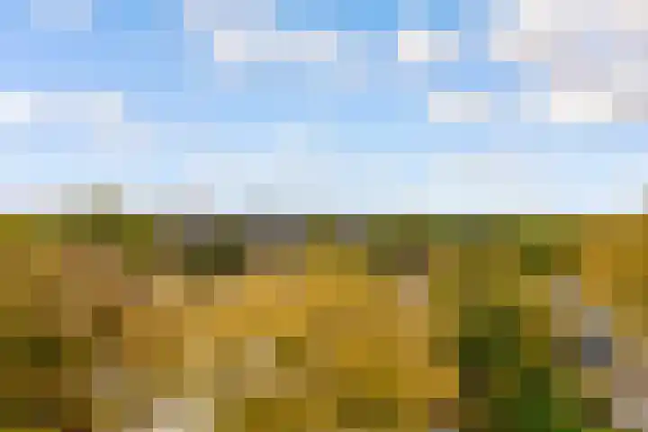 Kapteynlaan 89 Utrecht thumbnail 24