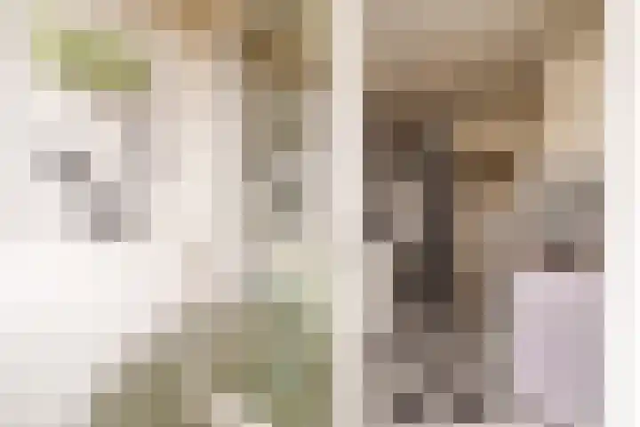 Kapteynlaan 89 Utrecht thumbnail 25