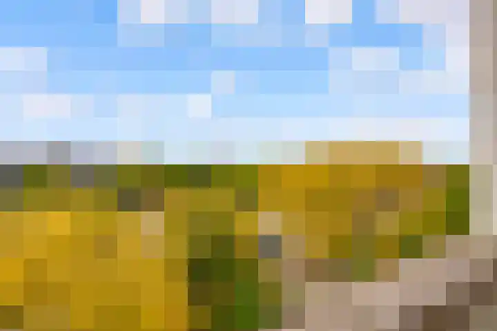 Kapteynlaan 89 Utrecht thumbnail 28