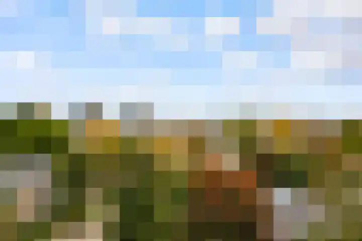 Kapteynlaan 89 Utrecht thumbnail 29