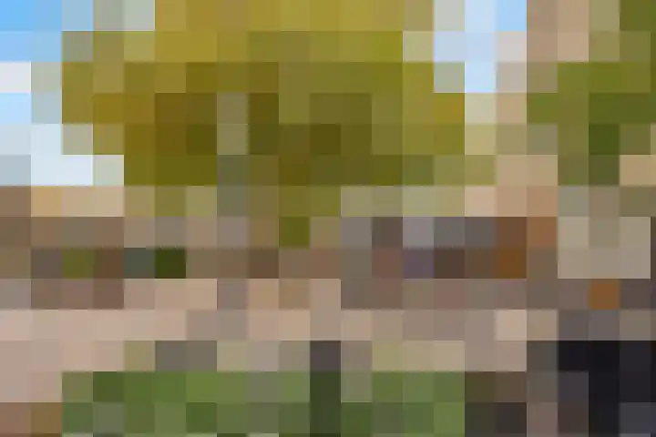 Kapteynlaan 89 Utrecht thumbnail 36