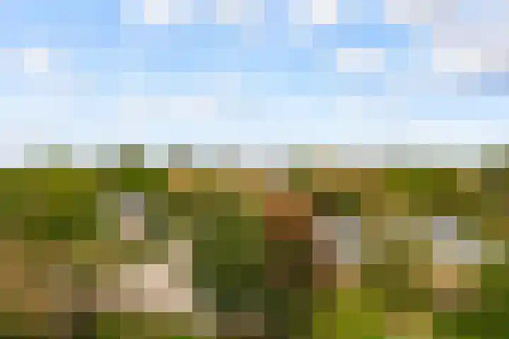 Kapteynlaan 89 Utrecht thumbnail 38