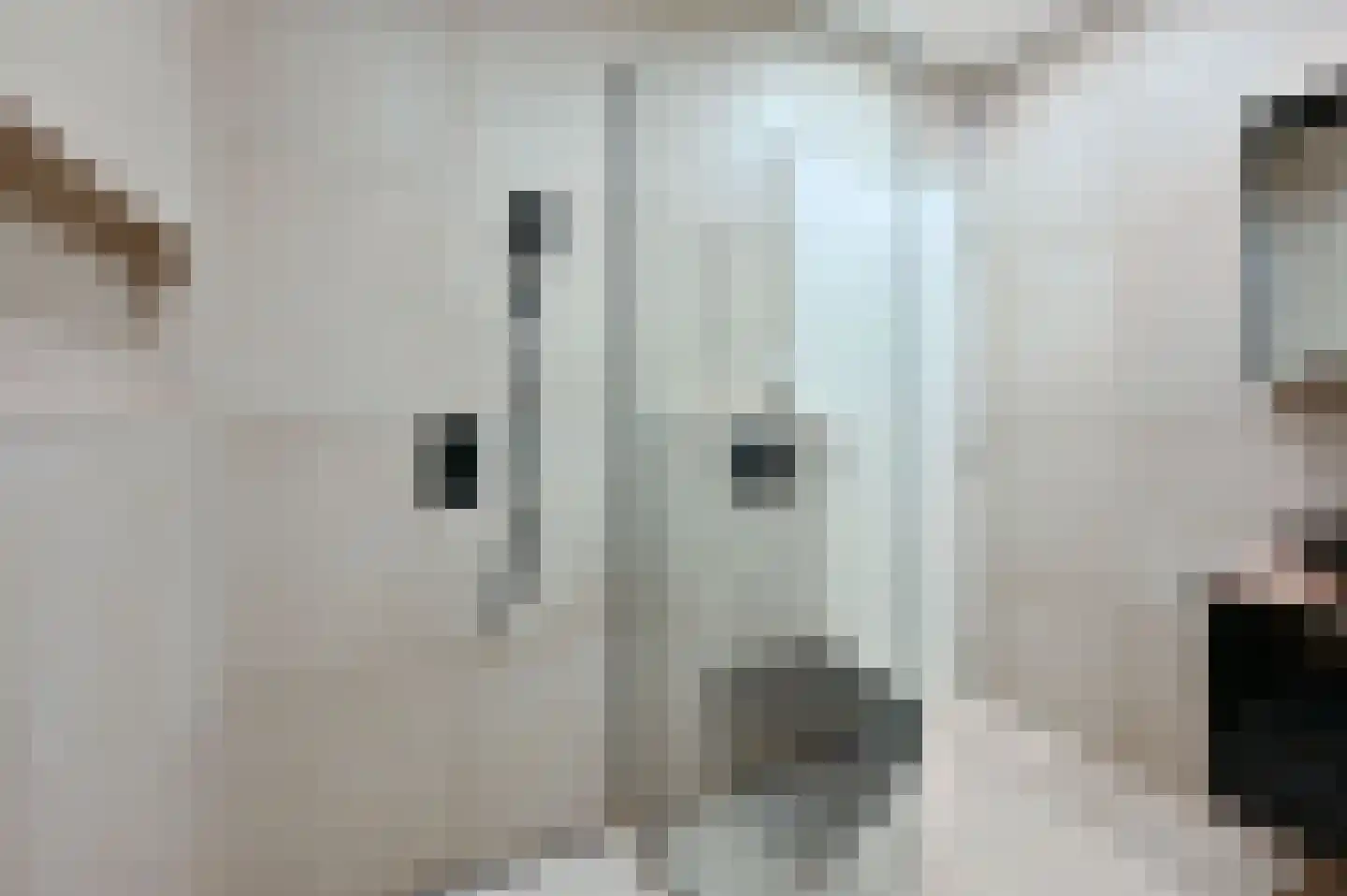 Kapteynstraat 10 Leiden thumbnail 16