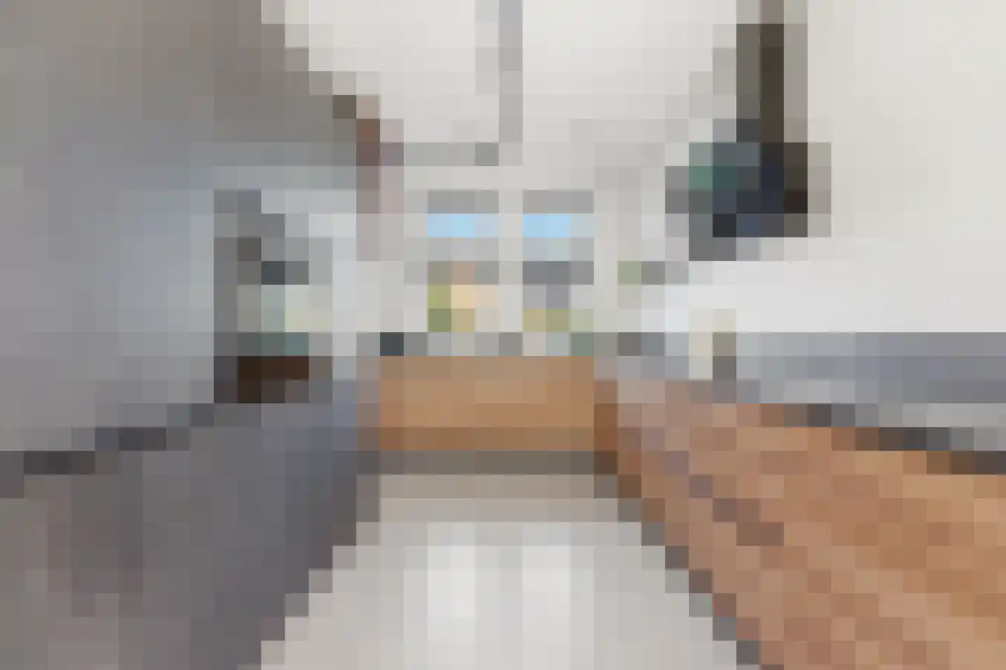 Kapteynstraat 11 Ridderkerk thumbnail 10