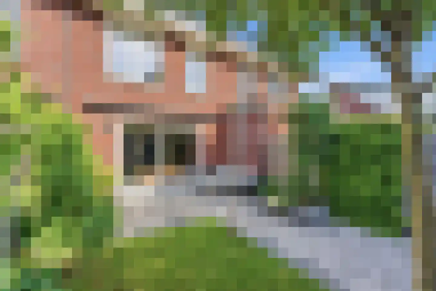 Kapteynstraat 11 Ridderkerk thumbnail 39
