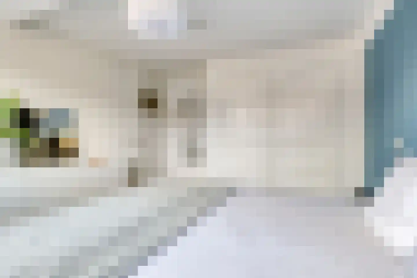 Kapteynstraat 39 Hilversum thumbnail 16