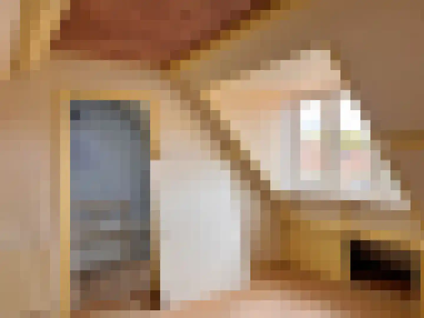 Kapteynstraat 69 Hilversum thumbnail 21