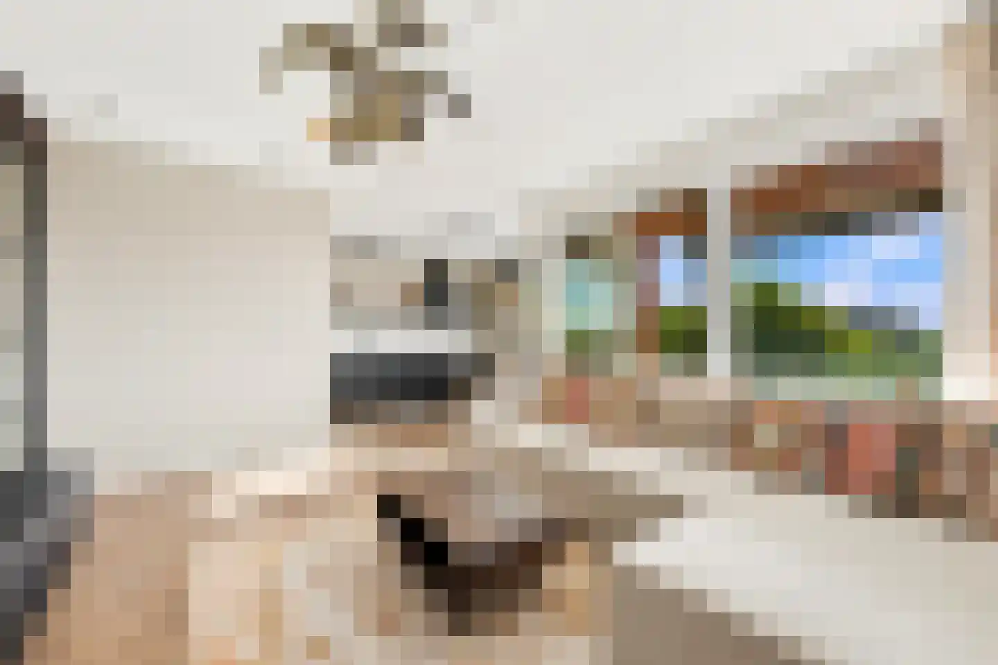 Kapteynstraat 90 Ridderkerk thumbnail 7