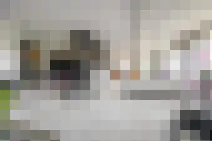 Kapucijnenhof 19 Oosterhout thumbnail 18