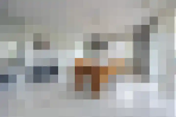 Kapucijnenhof 19 Oosterhout thumbnail 30