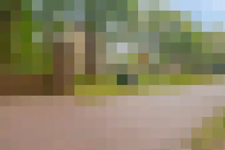 Kapucijnenhof 19 Oosterhout thumbnail 65
